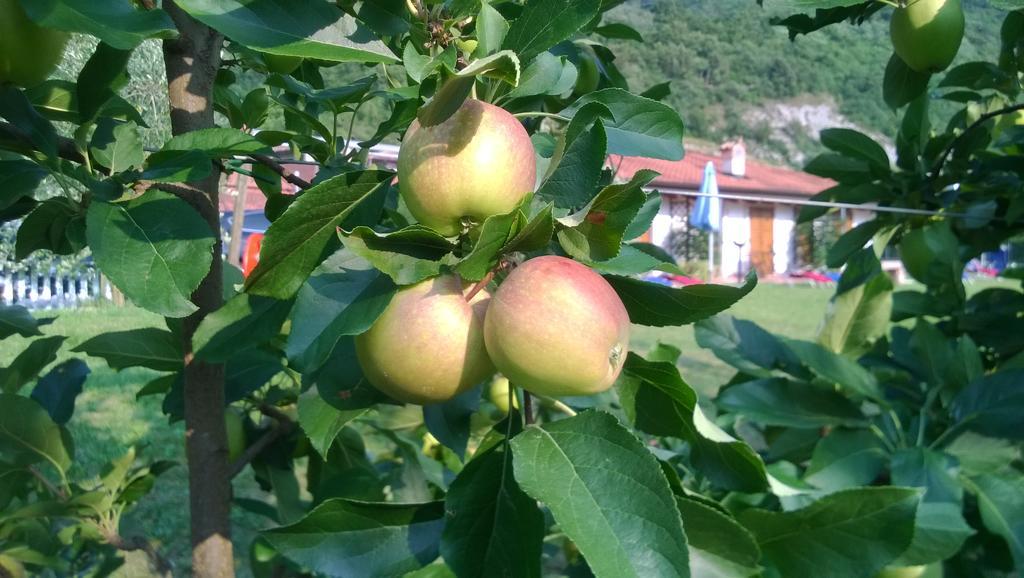Agriturismo Trefrutti Arco Zewnętrze zdjęcie